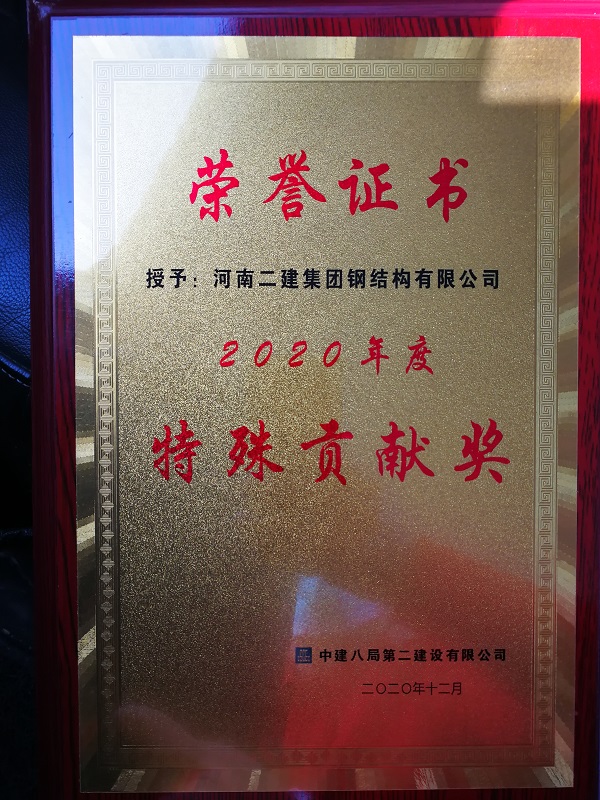 特殊貢獻(xiàn)獎(jiǎng)榮譽(yù)證書 - 副本.jpg